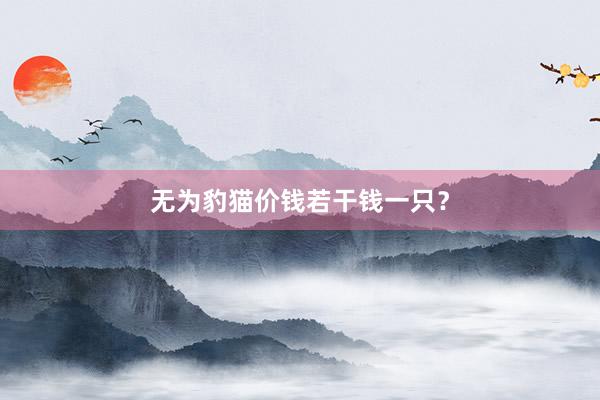 无为豹猫价钱若干钱一只？